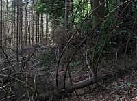 krušný sestup po modré do Cetechovic