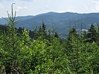 hradba Javorníků nad Zděchovem