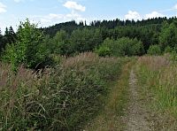 na hřebeni za Filkou