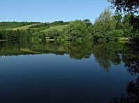 rybník František