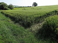 Krajinou a obcemi Litenčických vrchů - 1.Ze Zdounek přes Těšánky do Troubek