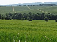 Litenčické pahorky, v pozadí Chřiby