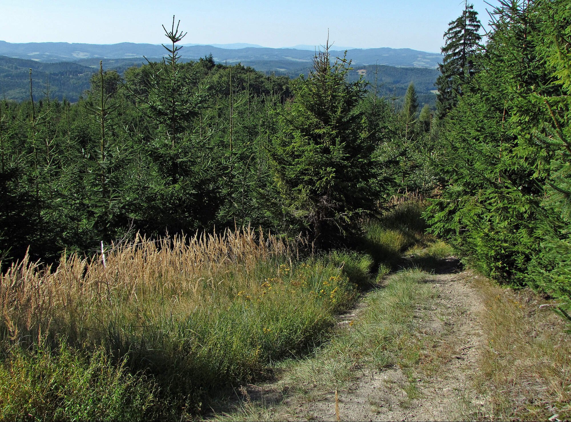 Hostýnské vrchy - vrchol Vysokého grúně
