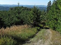 Hostýnské vrchy - vrchol Vysokého grúně