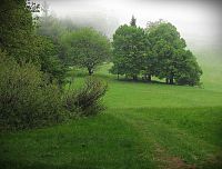 hřebenová louka, na níž stávaly původní pasekářské usedlosti