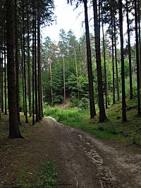 dál po červené k Valečovu