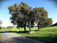 krucifix u silnice do Provodovic