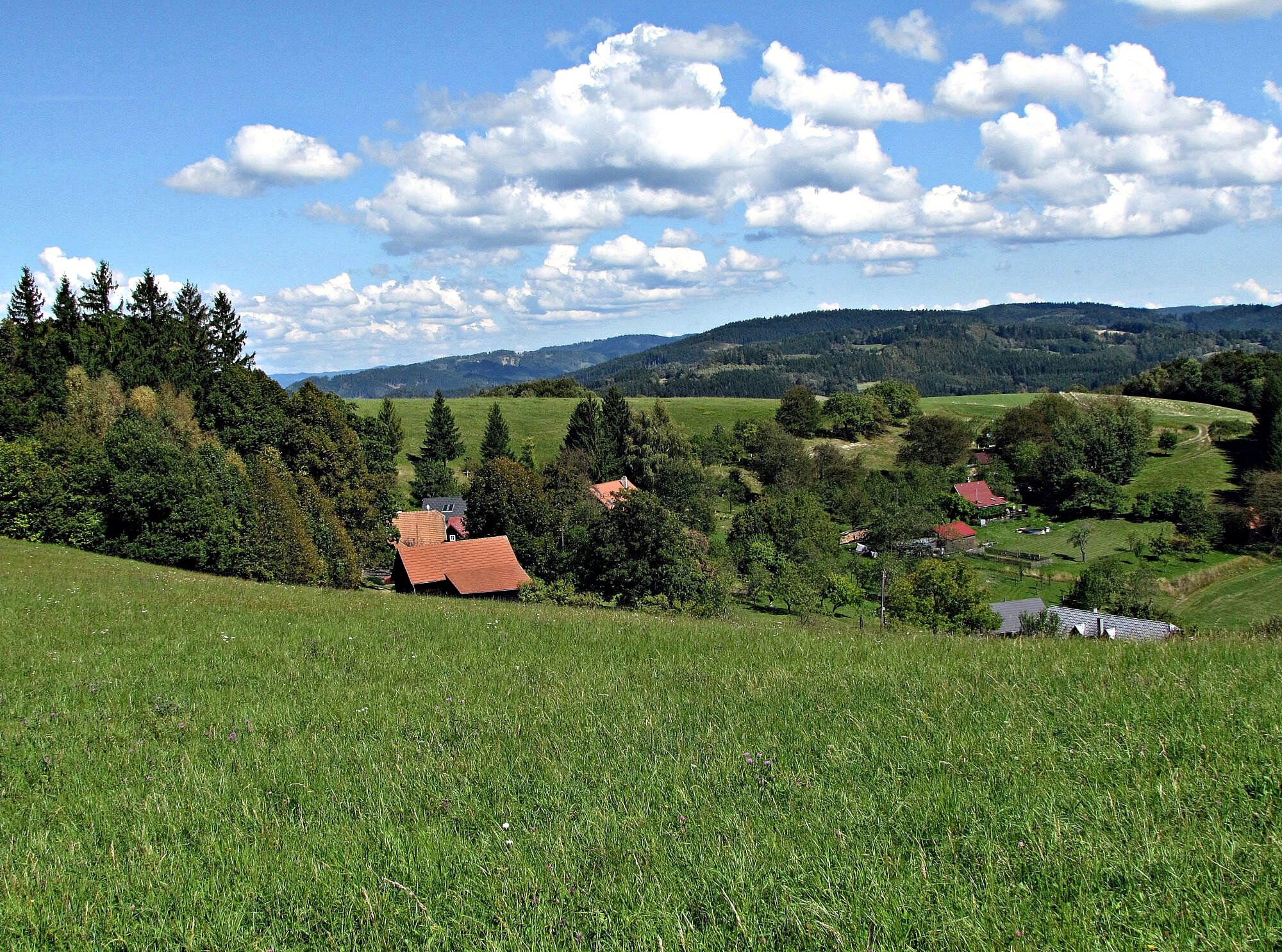 Vráblovy paseky a Žídkův buk