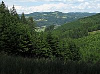 protější Vsetínské vrchy