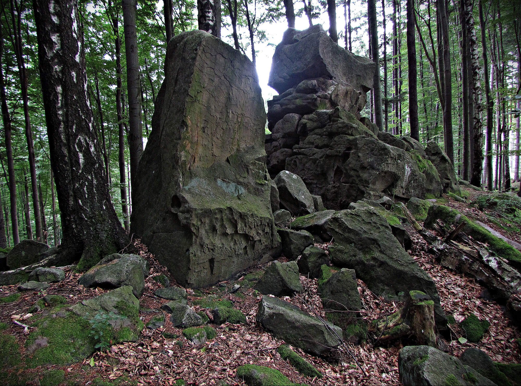 Z Vlčkové ke skalám na Ondřejovsku a do Lukova