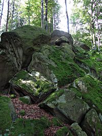 nejvyšší mrazový srub