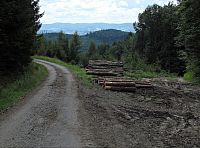 rozcestí U Obrázku