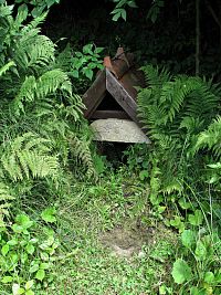 studánka U Tůkalky