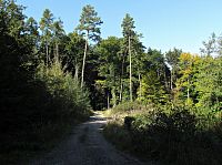 přístupová cesta od Bohuslavic