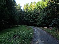 další 2 km vedou hvozdem