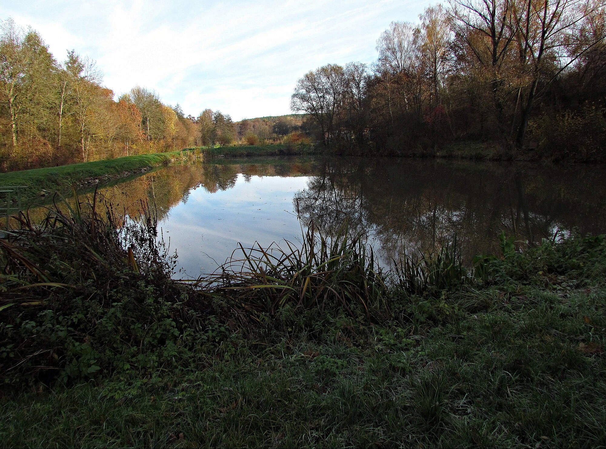 Šumice - obecní rybníky a PP Ovčírka