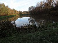 Šumice - obecní rybníky a PP Ovčírka