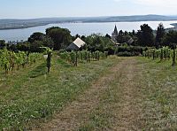 výhled od Božích muk