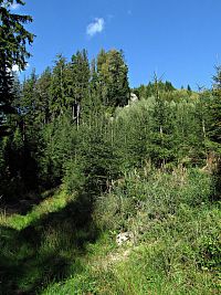 pod Prostředními skálami