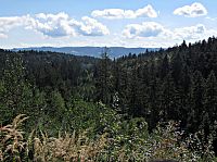 výhled z lesní cesty za skálami