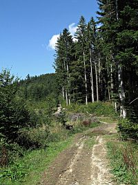 rozcestí U Oběšeného