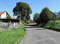 Lípa Jana Jiskry z Brandýsa