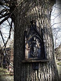 Plastika na blízkém stromě