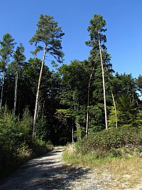 na rozcestí pod bunkrem