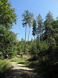 dolina Oskorušného potoka