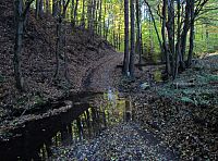 u Ludkovického potoka