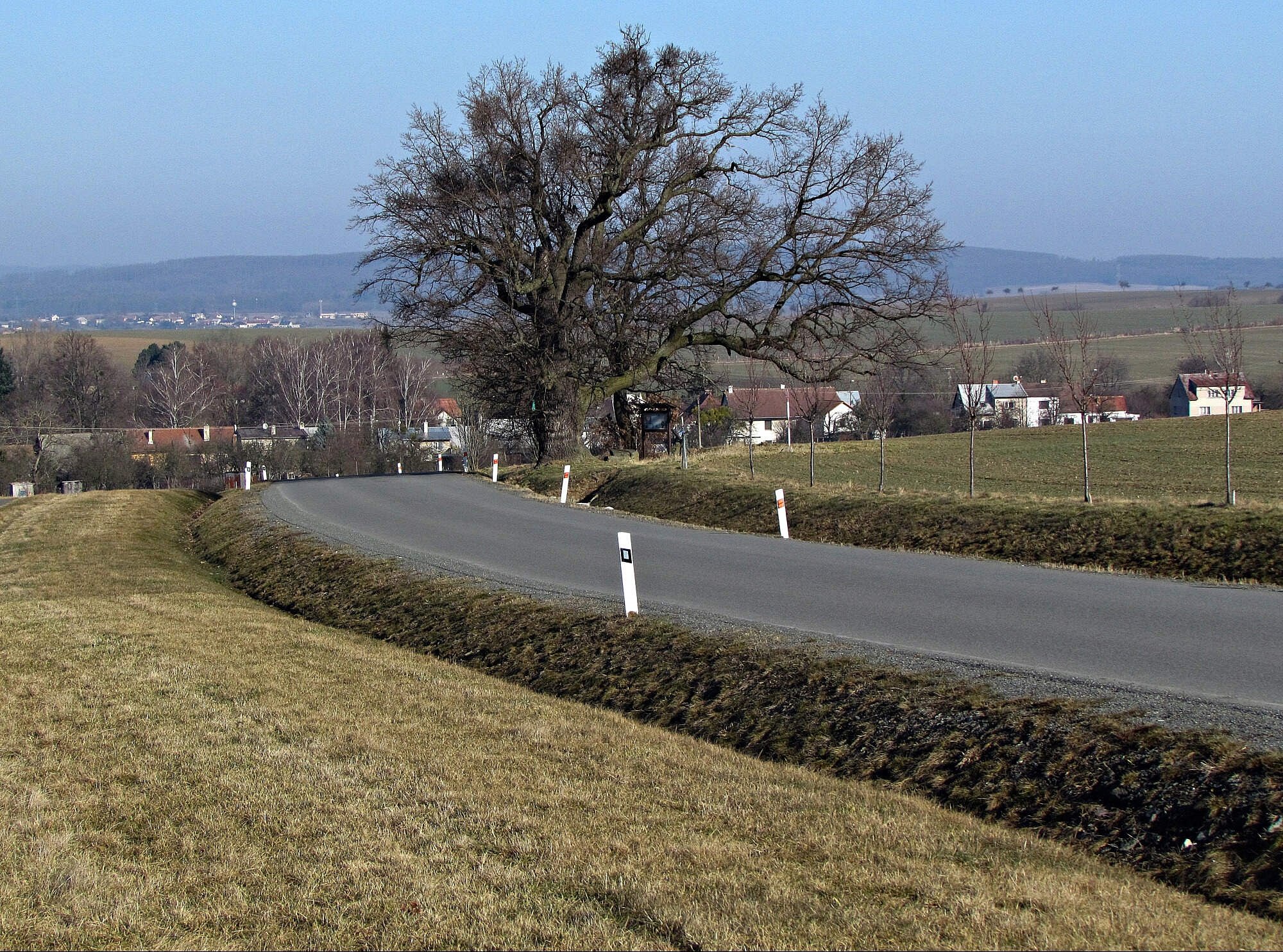 Památný dub Na Záhonkách