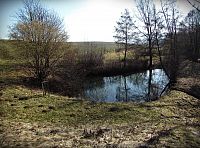 rybníček u potoka