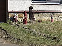 ukázka prací místního řezbáře