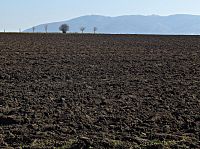 výhled na Kelčský Javorník