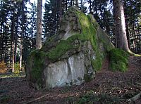 Muzikální příšera