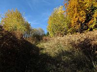 stále ještě nahoru