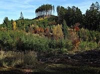 protější kužel Krajčice