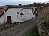 sklípky