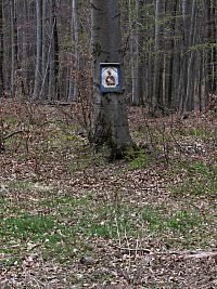 obrázek PM