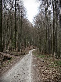 po zelené od přístřešku do rezervace