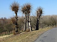 kříž mezi Sovadinou a Blazicemi