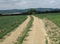 výhled na chřibské vršky