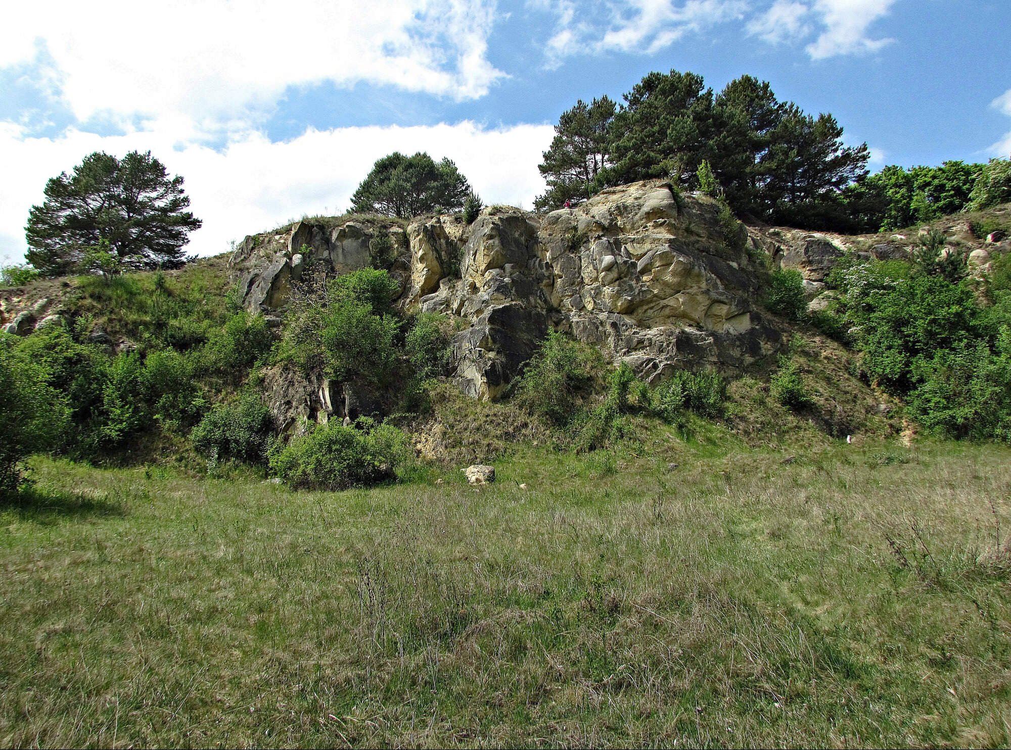 Geologická lokalita - PP Ježovský lom