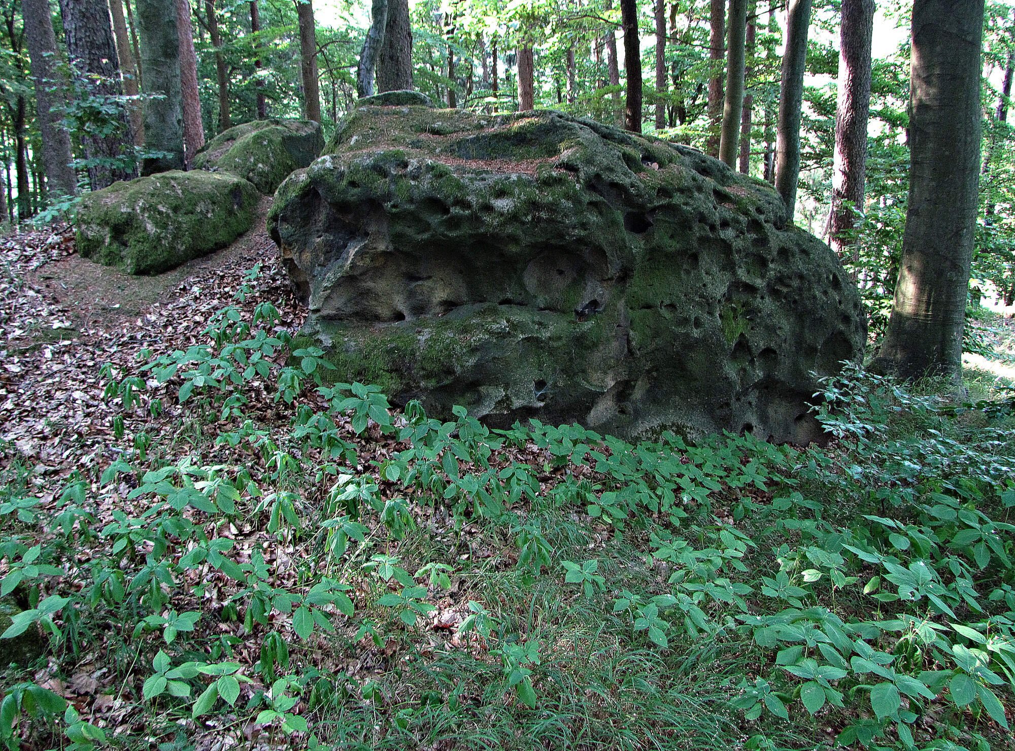 Chřiby - skalní výchozy nad Hubertem