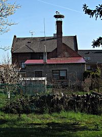 Němčice nad Hanou - čapí hnízdo
