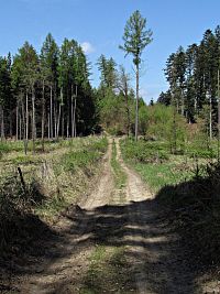 ke Stodoliskům