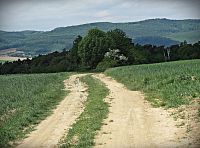do doliny potoka Hruškovice