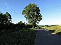 za Dřínovem