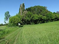 cestou do Koválovic