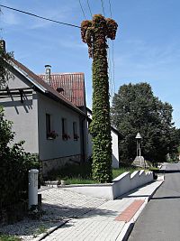 náves